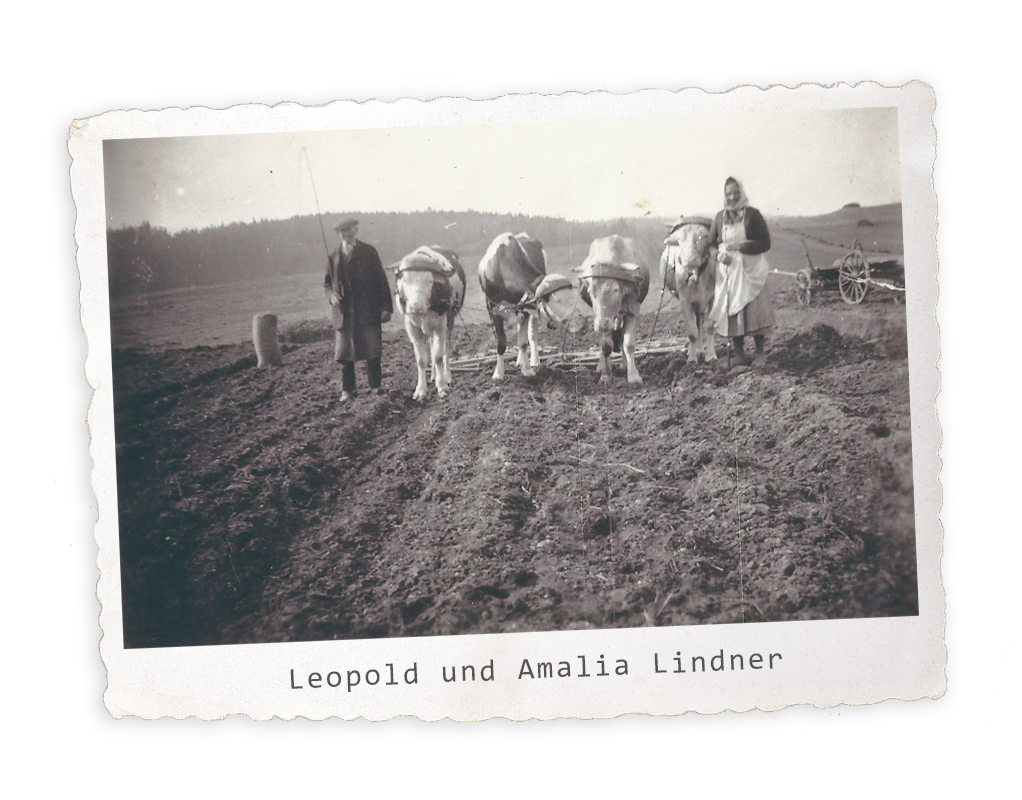 Leopold und Amaila Lindner 